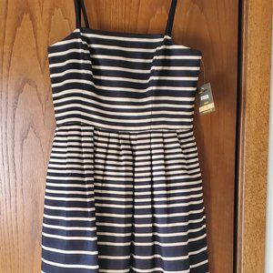 Taylor fit and flare dress